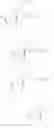 Fig. 178 - MODIFIED NUCLEIC ACID MOLECULES AND USES THEREOF