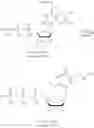 Fig. 192 - MODIFIED NUCLEIC ACID MOLECULES AND USES THEREOF