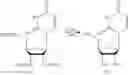 Fig. 213 - MODIFIED NUCLEIC ACID MOLECULES AND USES THEREOF