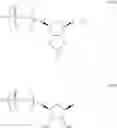 Fig. 29 - MODIFIED NUCLEIC ACID MOLECULES AND USES THEREOF