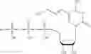 Fig. 304 - MODIFIED NUCLEIC ACID MOLECULES AND USES THEREOF
