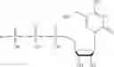 Fig. 313 - MODIFIED NUCLEIC ACID MOLECULES AND USES THEREOF