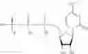 Fig. 342 - MODIFIED NUCLEIC ACID MOLECULES AND USES THEREOF
