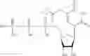 Fig. 345 - MODIFIED NUCLEIC ACID MOLECULES AND USES THEREOF