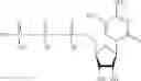 Fig. 366 - MODIFIED NUCLEIC ACID MOLECULES AND USES THEREOF