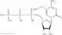 Fig. 439 - MODIFIED NUCLEIC ACID MOLECULES AND USES THEREOF