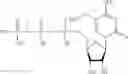 Fig. 460 - MODIFIED NUCLEIC ACID MOLECULES AND USES THEREOF