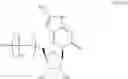 Fig. 87 - MODIFIED NUCLEIC ACID MOLECULES AND USES THEREOF