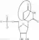 Fig. 90 - MODIFIED NUCLEIC ACID MOLECULES AND USES THEREOF