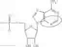 Fig. 93 - MODIFIED NUCLEIC ACID MOLECULES AND USES THEREOF