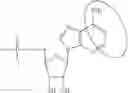 Fig. 98 - MODIFIED NUCLEIC ACID MOLECULES AND USES THEREOF