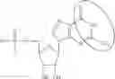 Fig. 99 - MODIFIED NUCLEIC ACID MOLECULES AND USES THEREOF
