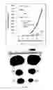 Fig. 16 - Cationic lipid formulations for regressing established tumor