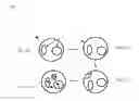 Fig. 02 - Cell penetrating protein adaptor molecules and their application in research and medicine