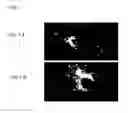 Fig. 08 - Cell penetrating protein adaptor molecules and their application in research and medicine