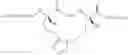 Fig. 42 - Triazole macrocycle systems
