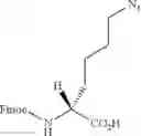 Fig. 60 - Triazole macrocycle systems