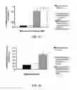 Fig. 18 - Methods and compositions for the display of polypeptides on the pili of Gram-positive bacteria