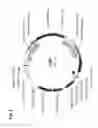 Fig. 12 - INSECTICIDAL PROTEINS