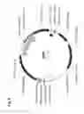 Fig. 14 - INSECTICIDAL PROTEINS