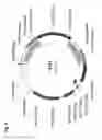 Fig. 13 - Insecticidal proteins