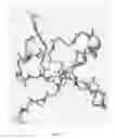 Fig. 08 - Potent and selective inhibitors of NA1.3 and NA1.7