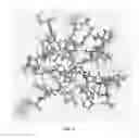 Fig. 09 - Potent and selective inhibitors of NA1.3 and NA1.7