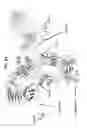 Fig. 102 - Potent and selective inhibitors of NA1.3 and NA1.7