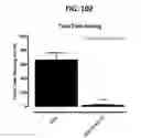 Fig. 113 - Potent and selective inhibitors of NA1.3 and NA1.7