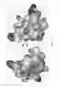 Fig. 12 - Potent and selective inhibitors of NA1.3 and NA1.7