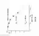 Fig. 37 - Potent and selective inhibitors of NA1.3 and NA1.7