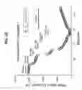 Fig. 63 - Potent and selective inhibitors of NA1.3 and NA1.7