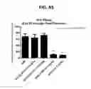 Fig. 75 - Potent and selective inhibitors of NA1.3 and NA1.7