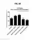 Fig. 78 - Potent and selective inhibitors of NA1.3 and NA1.7