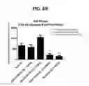 Fig. 79 - Potent and selective inhibitors of NA1.3 and NA1.7