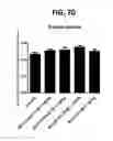 Fig. 80 - Potent and selective inhibitors of NA1.3 and NA1.7