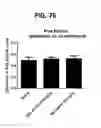 Fig. 86 - Potent and selective inhibitors of NA1.3 and NA1.7