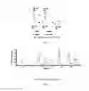 Fig. 06 - Recombinant lubricin composition