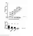Fig. 11 - Recombinant lubricin composition
