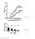 Fig. 12 - Recombinant lubricin composition