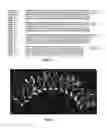 Fig. 04 - FIBROMODULIN PEPTIDE