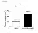 Fig. 04 - CD86 variants with improved affinity for CTLA-4