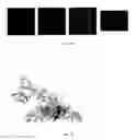 Fig. 22 - PERTUSSIS ANTIBODIES AND USES THEREOF
