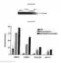 Fig. 37 - Optimized Fc variants