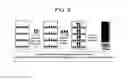 Fig. 09 - SPARC binding ScFvs