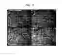 Fig. 12 - SPARC binding ScFvs