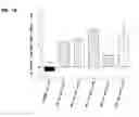 Fig. 02 - Methods for increasing lean body mass with resistance training and a GDF8 inhibitor that is an anti-GDF8 antibody