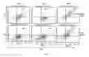 Fig. 02 - Methods for reducing global chronic inflammation and the presence of melanoma