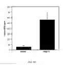 Fig. 10 - Methods for reducing global chronic inflammation and the presence of melanoma