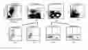 Fig. 16 - Methods for reducing global chronic inflammation and the presence of melanoma